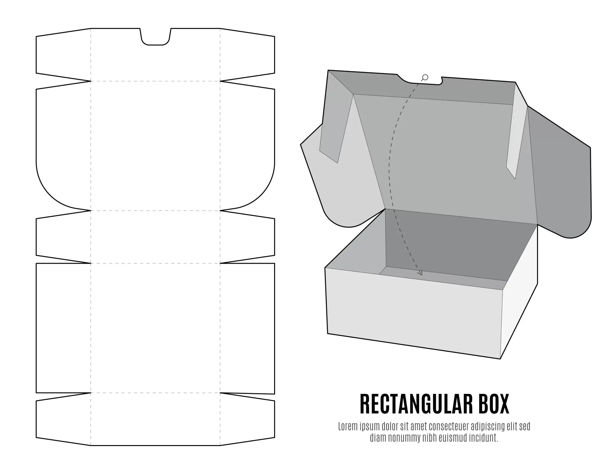 Pola Packaging Box Scaled.webp